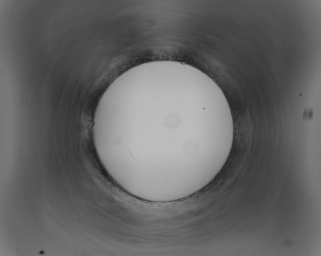 X0000088880038200707061420
