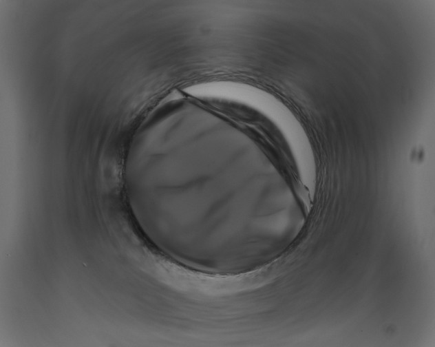 X0000088880039200707061420