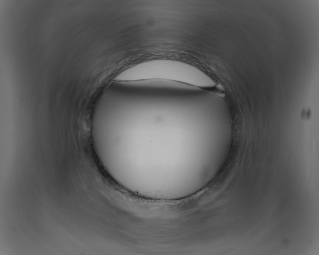 X0000088880040200707061420