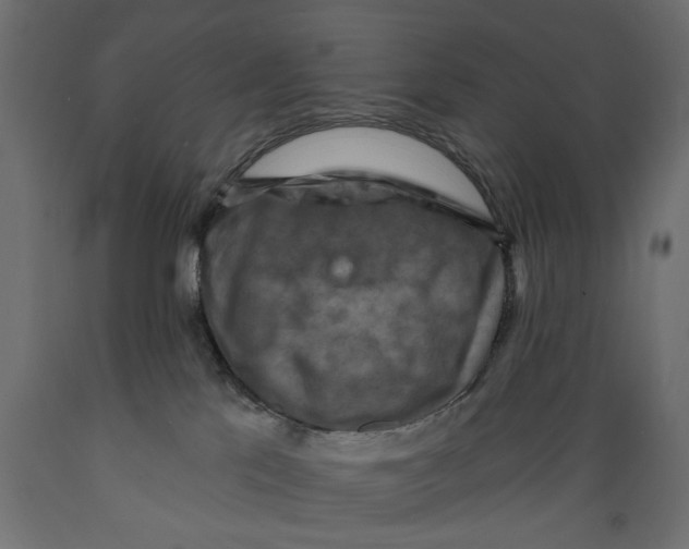 X0000088880041200707061420
