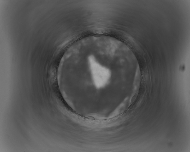 X0000088880043200707061420