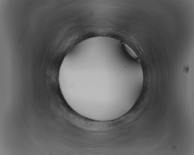 X0000088880044200707061420