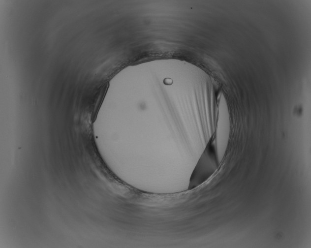 X0000088880045200707061419