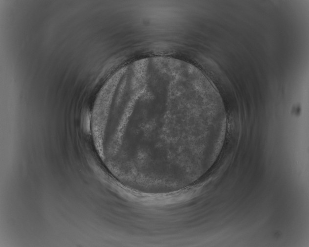 X0000088880046200707061419