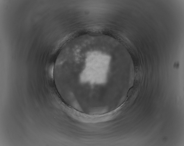 X0000088880047200707061419