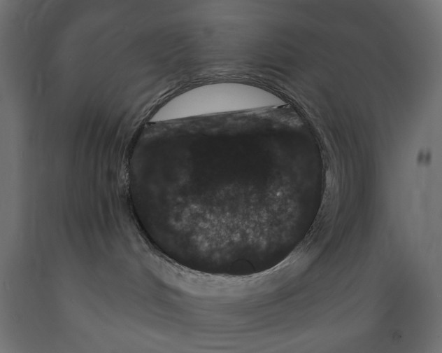 X0000088880048200707061419