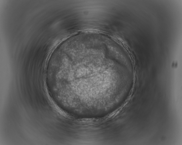 X0000088880049200707061419