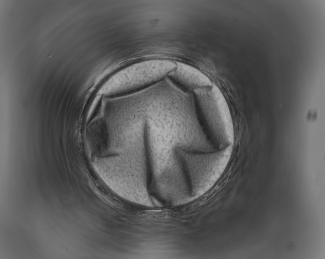 X0000088880050200707061419