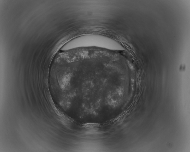 X0000088880051200707061419
