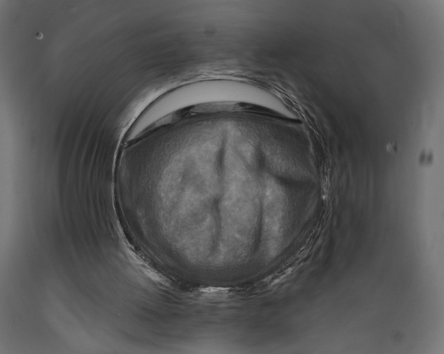 X0000088880052200707061419