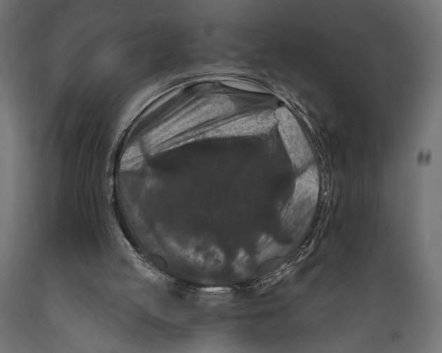 X0000088880053200707061419