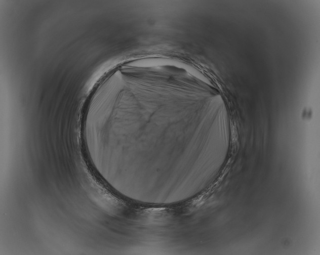 X0000088880054200707061419