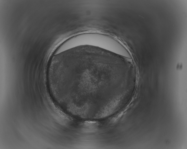 X0000088880055200707061419