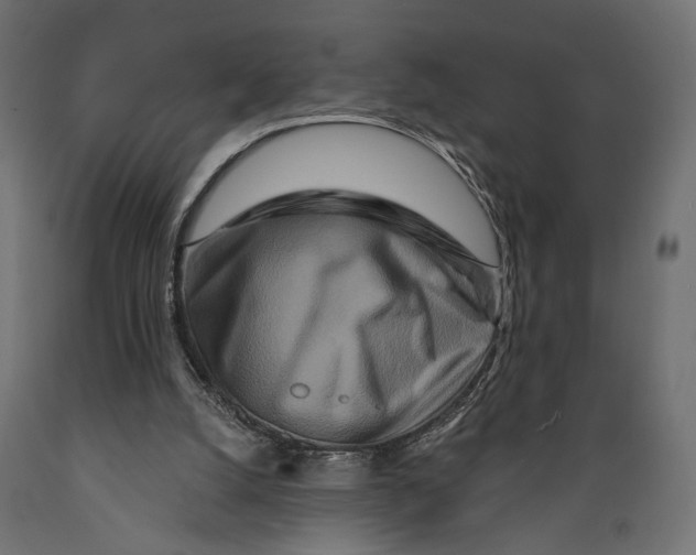 X0000088880056200707061419