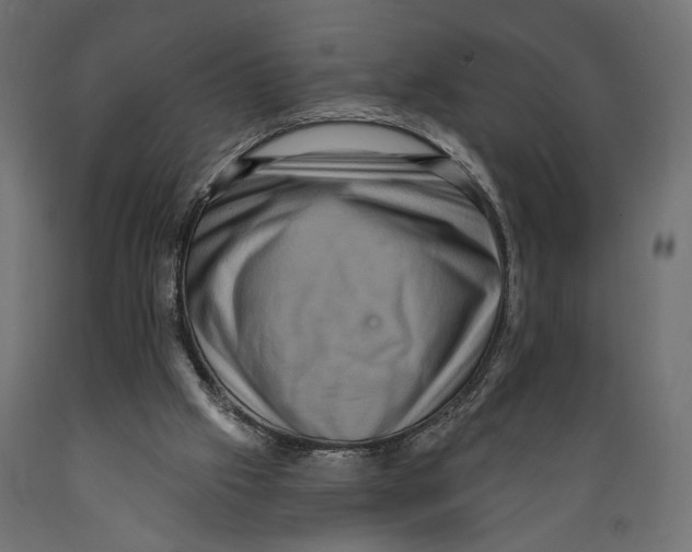 X0000088880057200707061419