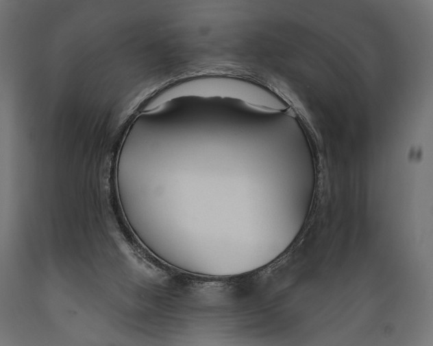 X0000088880058200707061419