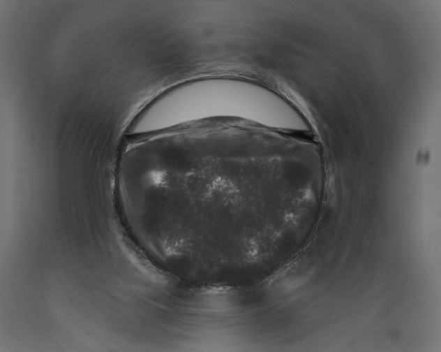 X0000088880059200707061419