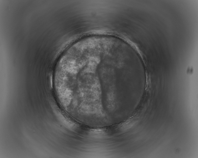 X0000088880061200707061419