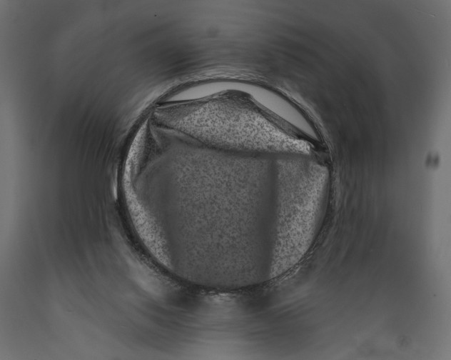 X0000088880062200707061419