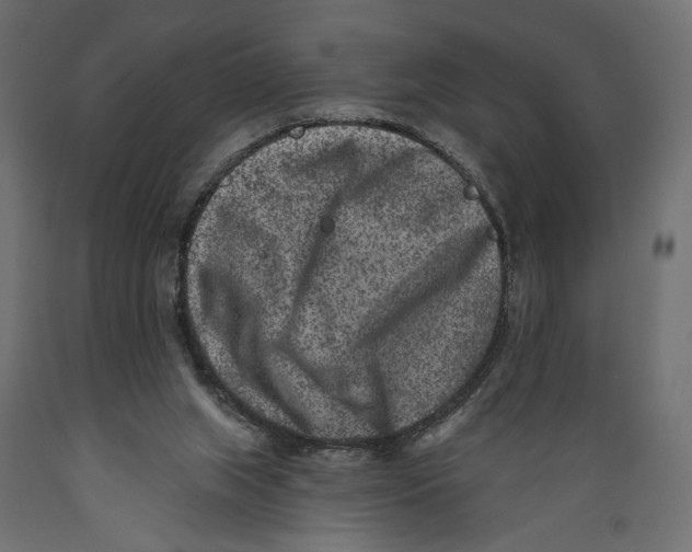 X0000088880063200707061419