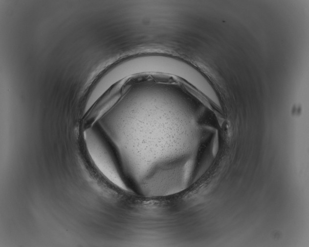 X0000088880064200707061419