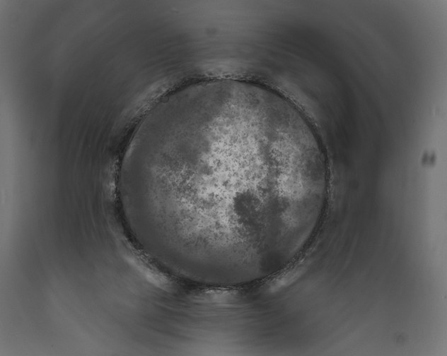 X0000088880065200707061419