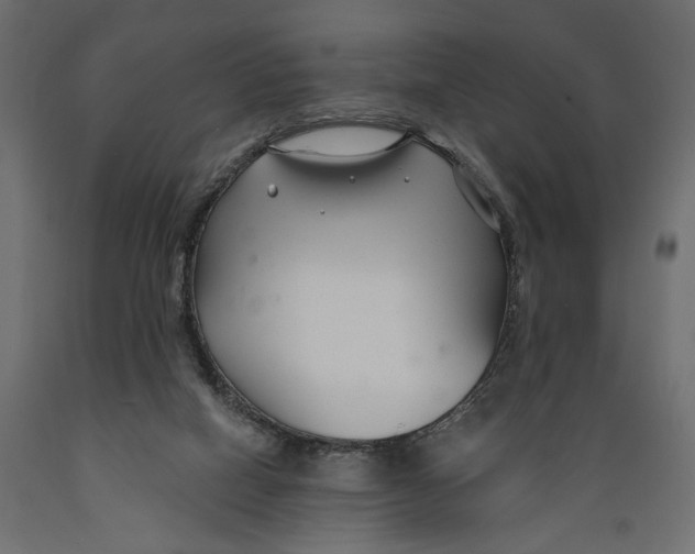 X0000088880066200707061419