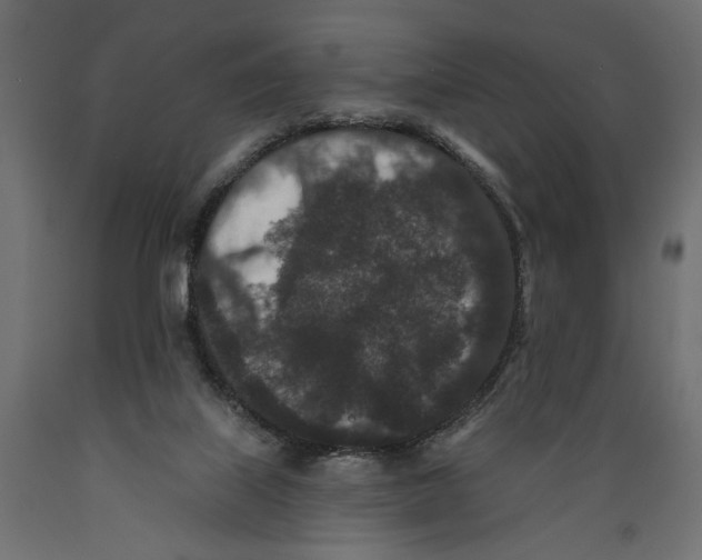 X0000088880067200707061419