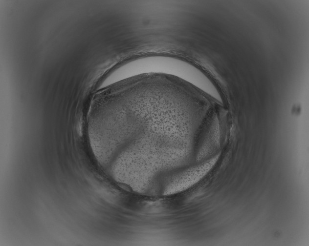 X0000088880068200707061419