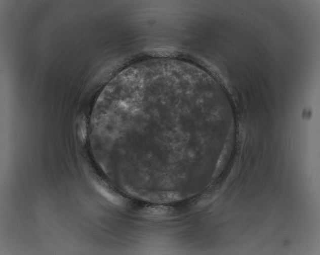 X0000088880069200707061419