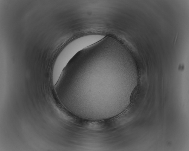 X0000088880070200707061419