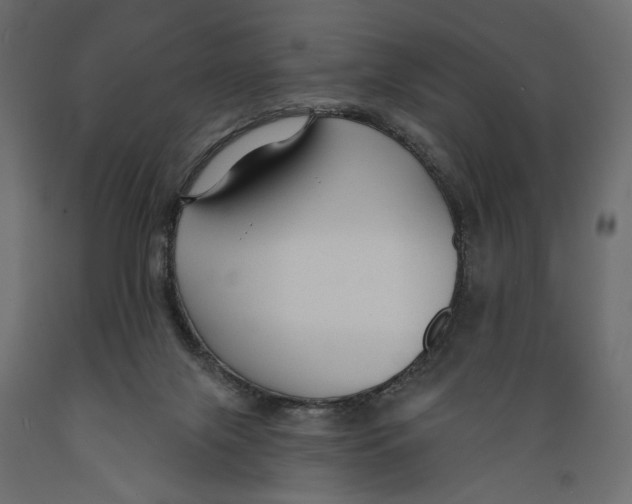 X0000088880071200707061419