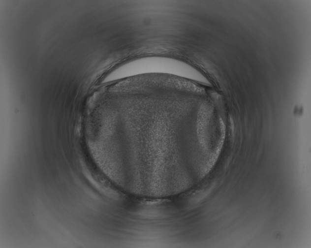 X0000088880072200707061419