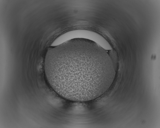 X0000088880073200707061419