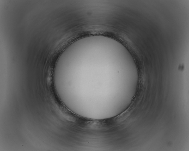 X0000088880074200707061419