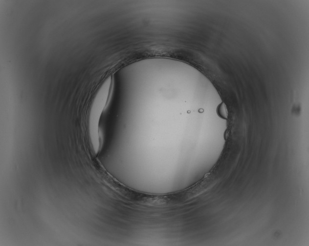 X0000088880075200707061419