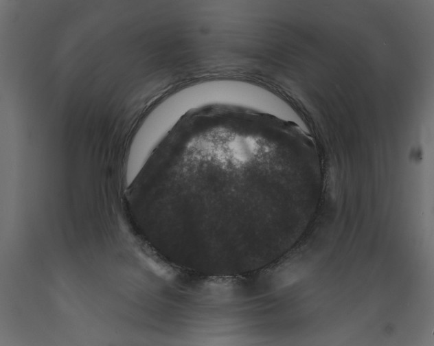 X0000088880076200707061419