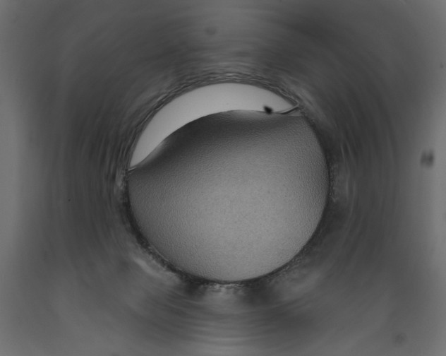 X0000088880077200707061419