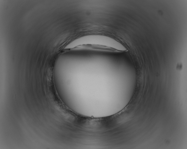 X0000088880078200707061419