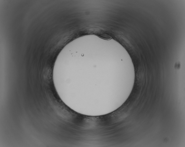 X0000088880079200707061419