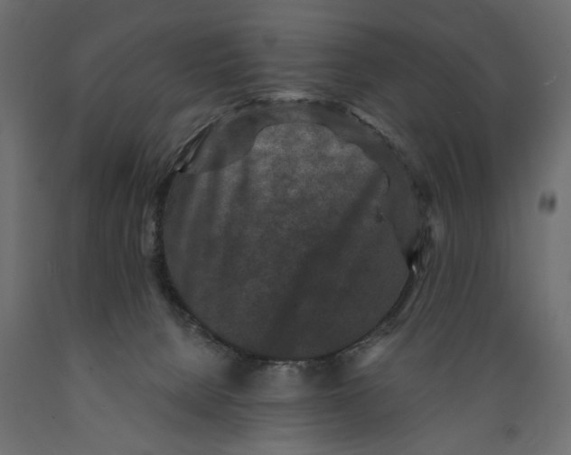 X0000088880080200707061419