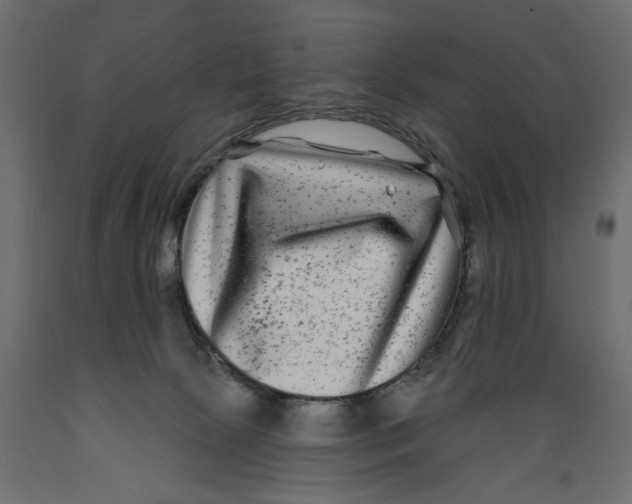 X0000088880081200707061419