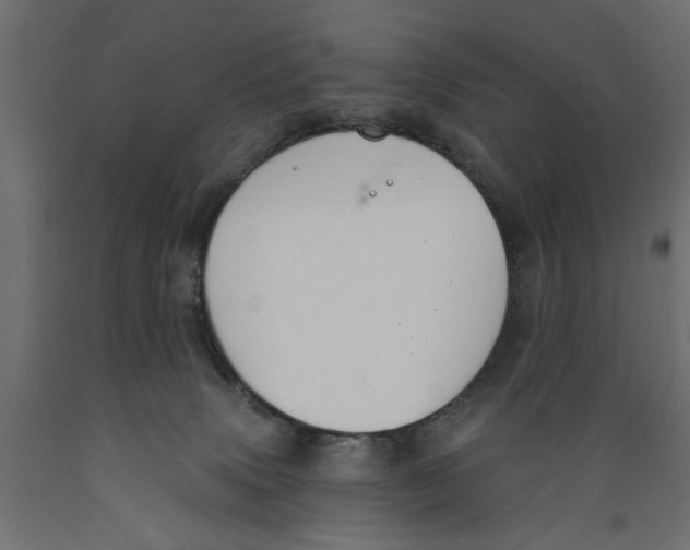 X0000088880083200707061419
