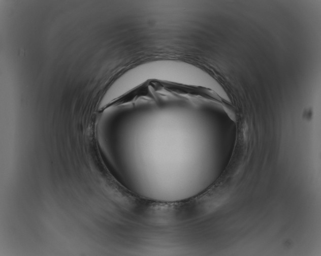 X0000088880084200707061419