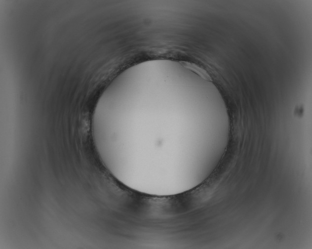 X0000088880085200707061419