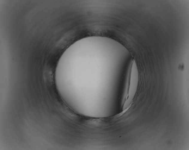 X0000088880086200707061419