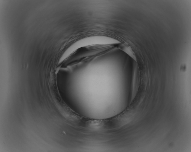 X0000088880088200707061419