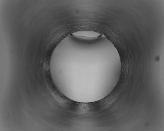 X0000088880091200707061419