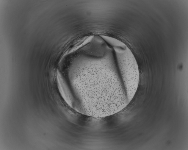 X0000088880093200707061419