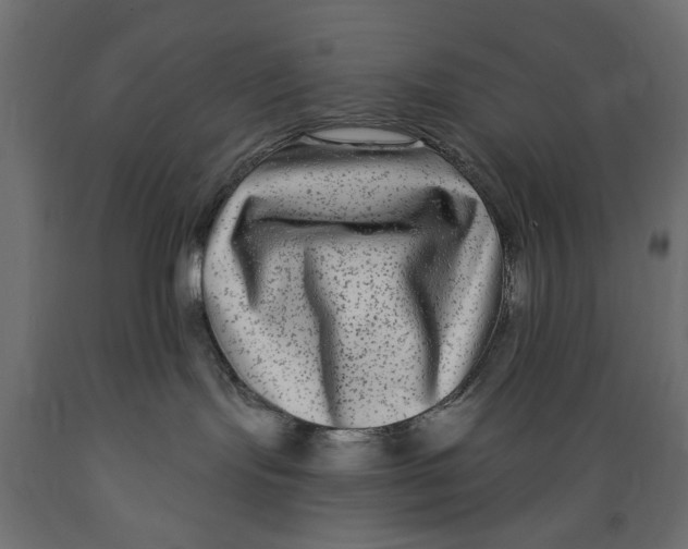 X0000088880095200707061419